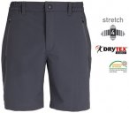 Silverpoint - Herren 4Wege-Stretch Shorts kurze Trekkinghose Eskdale - grau L