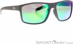 Alpina Nacan I Sonnenbrille-Grau-One Size