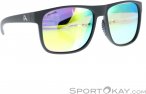 Alpina Nacan III Sonnenbrille-Dunkel-Grau-One Size