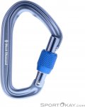 Black Diamond HotForge Screwgate Karabiner-Grau-One Size
