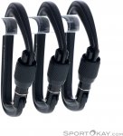 Black Diamond HotForge Karabiner-Set-Schwarz-One Size