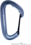 Black Diamond LiteWire Schnappkarabiner-Grau-One Size