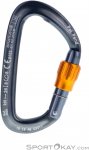 Camp Orbit Lock Karabiner-Schwarz-One Size