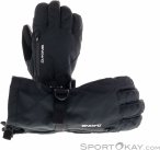 Dakine Leather Sequoia Glove GTX Damen Skihandschuhe Gore-Tex-Schwarz-XS