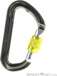 DMM Phantom Screwgate Karabiner-Grau-One Size