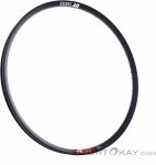 DT Swiss FR541 DB 32-Loch 29'' Felge-Schwarz-29