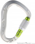 Edelrid Bullet Permalock HMS-Karabiner-Silber-One Size
