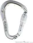 Edelrid Bulletproof Screw Eco HMS-Karabiner-Silber-One Size