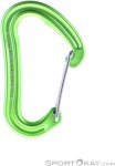 Edelrid Nineteen G Schnappkarabiner-Hell-Grün-One Size