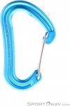 Edelrid Nineteen G Schnappkarabiner-Türkis-One Size
