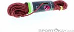 Edelrid Swift Protect Pro Dry 8,9mm 30m Kletterseil-Rot-30