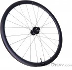 Giant SLR 1 36 Disc Carbon HR 28'' Laufrad Hinten-Schwarz-28