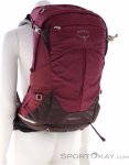 Osprey Sirrus 24l Damen Rucksack-Lila-24