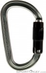 Petzl Am'D Ball-Lock Karabiner-Grau-One Size