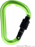Salewa Screw G2 HMS-Karabiner-Oliv-Dunkelgrün-S