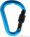 Salewa HMS Screw G2 HMS-Karabiner-Türkis-S