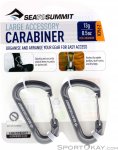 Sea to Summit Accesory 2er Materialkarabiner-Set-Grau-L