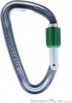 Wild Country Eos Screwgate Karabiner-Silber-One Size