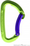 Wild Country Session Bent Gate Schnappkarabiner-Grün-One Size