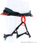 Wild Country Session Herren Klettergurt-Grün-L