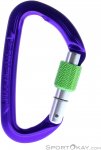 Wild Country Session Screw Gate Karabiner-Lila-One Size