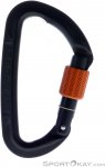 Wild Country Session Screw Gate Karabiner-Schwarz-One Size