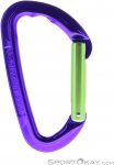 Wild Country Session Straight Gate Schnappkarabiner-Lila-One Size