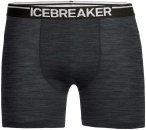 Icebreaker 150 Anatomica Herren Funktionsunterhose ( Grau L Größe,)