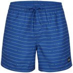 O`Neill Calo First 15 Swim Shorts Herren ( Blau S INT,)