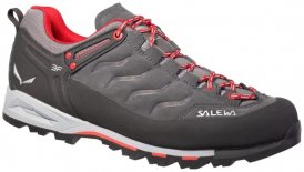 Salewa MS MTN Trainer Herren (Grau 7 5 UK 41 EU ) | Schuhe Zustiegs-Approachschuhe