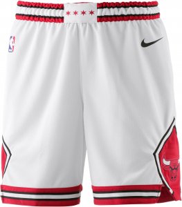 Nike CHICAGO BULLS Shorts Herren Shorts XXL Normal