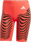 adidas ADIZERO Lauftights Damen Tights XS Normal