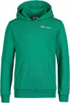 CHAMPION Icons Hoodie Kinder Hoodies 152 Normal