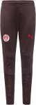 PUMA FC St. Pauli Trainingshose Kinder Hosen 164 Normal