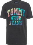 Tommy Hilfiger Collegiate T-Shirt Herren T-Shirts S Normal