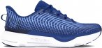 Under Armour Infinite Pro Laufschuhe Herren Schuhe 42 1/2 Normal