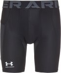 Under Armour HEATGEAR ARMOUR Tights Herren Tights XL Normal