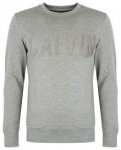 Calvin Klein HAPEXO - Sweatshirt - Männer - grey