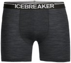 Icebreaker Anatomica Boxers - Unterwäsche - Herren Jet Heather M