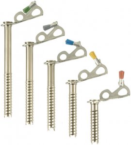 Black Diamond Express Ice Screw Eisschraube