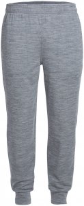 Icebreaker Herren Shifter Hose Grau L