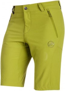 Mammut Herren Runbold Shorts Grün XL