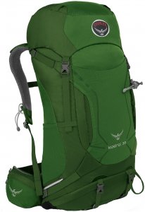 Osprey Herren Kestrel 38 Rucksack Grün