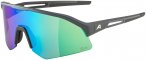 Alpina Sonic HR Q-Lite Sportbrille (Größe ONE SIZE, grau)