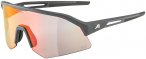 Alpina Sonic HR QV 1-3 Sportbrille (Größe One Size, grau)