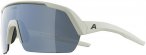 Alpina Turbo HR Q-Lite Sportbrille (Größe One Size, grau)