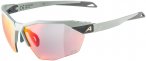 Alpina Twist Six HR QV 1-3 Sportbrille (Größe One Size, grau)