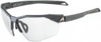 Alpina Twist Six HR V 1-3 Sportbrille (Größe One Size, schwarz)