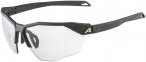 Alpina Twist Six HR V 1-3 Sportbrille (Größe One Size, schwarz)