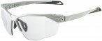 Alpina Twist Six S HR V 1-3 Sportbrille (Größe One Size, grau)